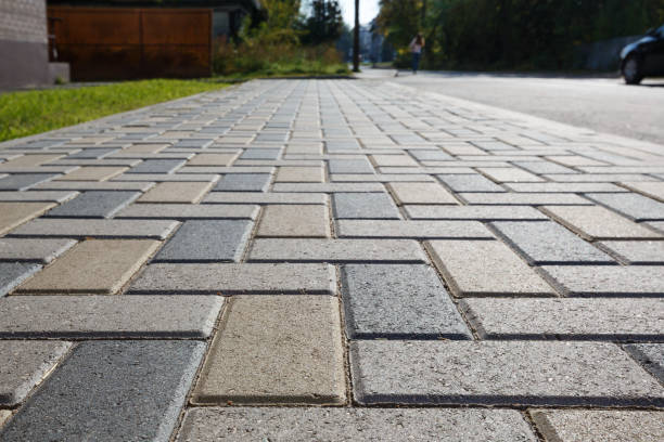 Best Driveway Pavers Near Me  in Le Mars, IA